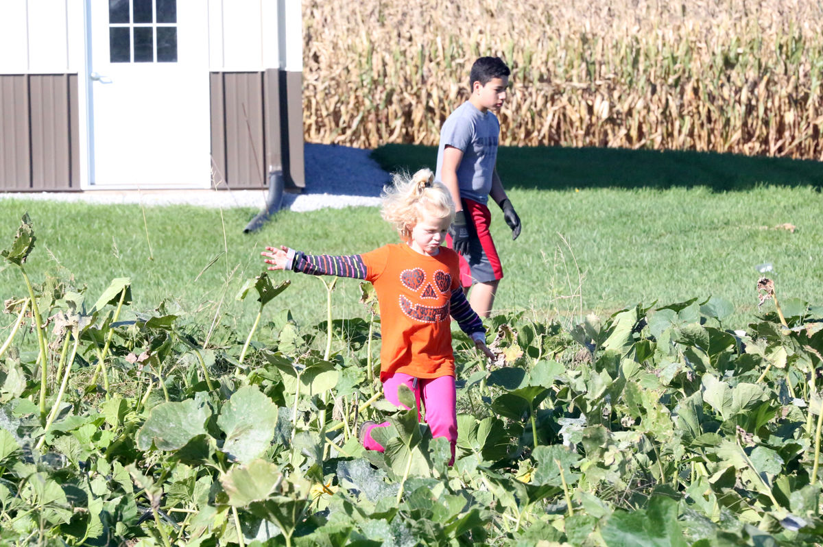 St Joseph Pumpkin Patch (23).jpg